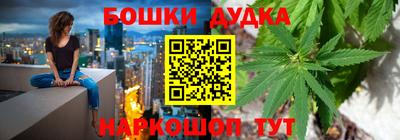 МДПВ Обь