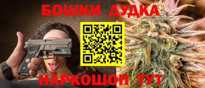 МДПВ Обь
